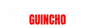Imagem logo guincho